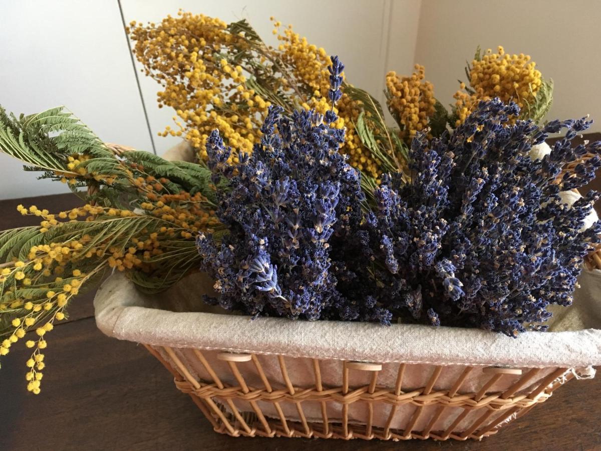 Mas Halcyon Provence Bed & Breakfast Avignon Bagian luar foto